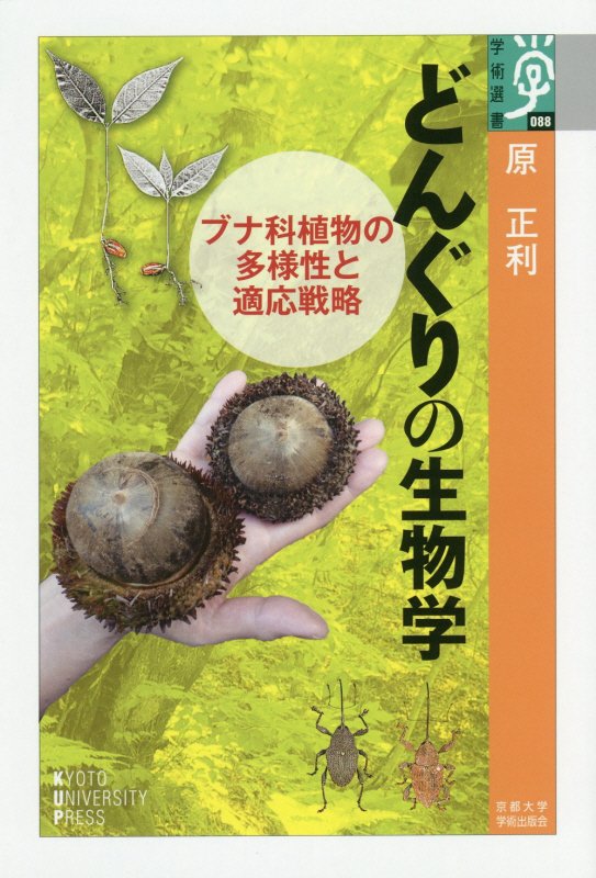 どんぐりの生物学　ブナ科植物の多様性と適応戦略　　（学術選書）