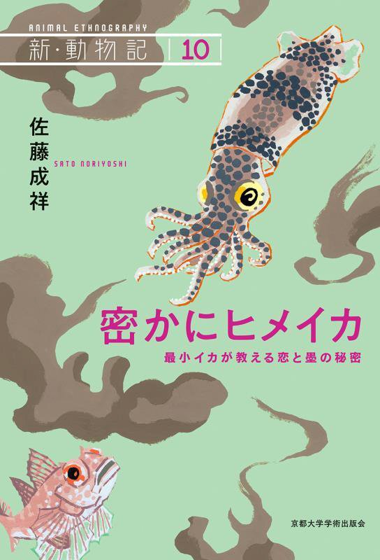密かにヒメイカ　最小イカが教える恋と墨の秘密　　（新・動物記）