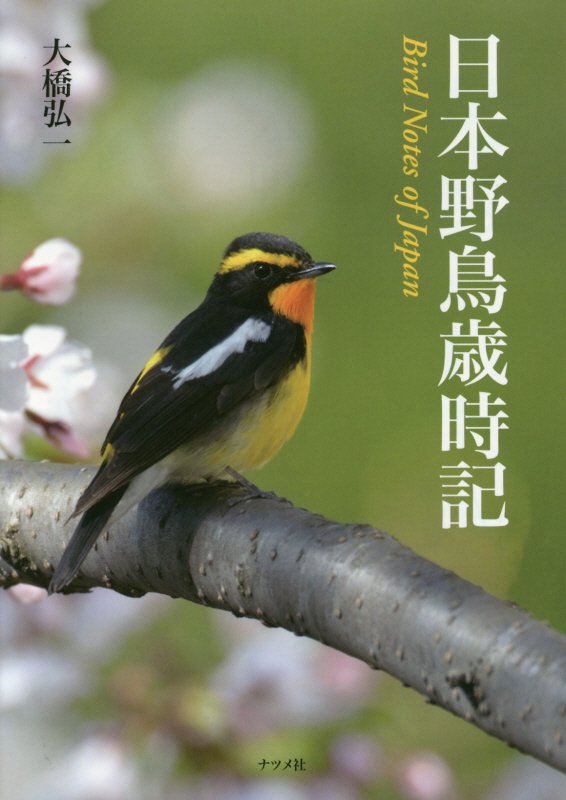 日本野鳥歳時記　