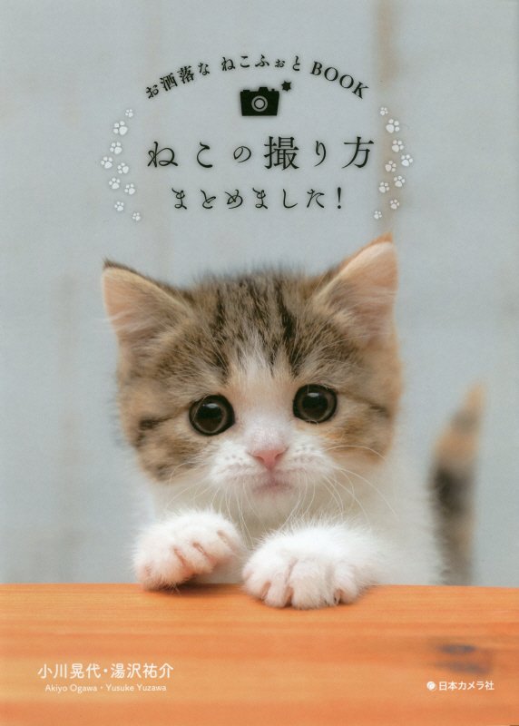 ねこの撮り方まとめました！　お洒落なねこふぉとＢＯＯＫ　