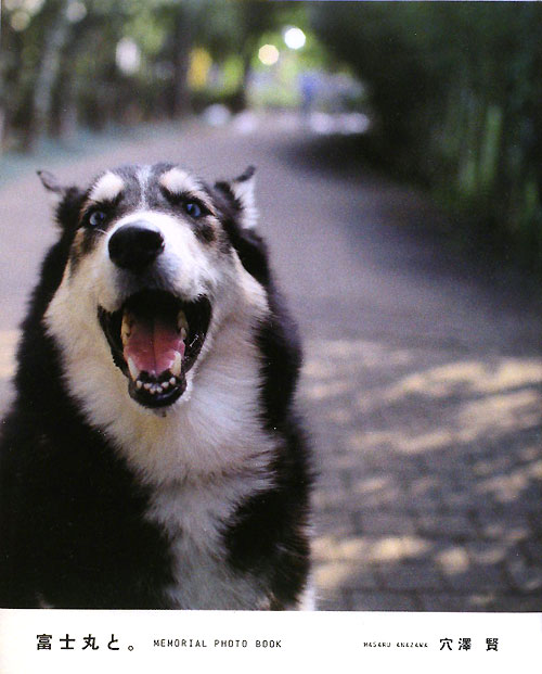 富士丸と。　ＭＥＭＯＲＩＡＬ　ＰＨＯＴＯ　ＢＯＯＫ　