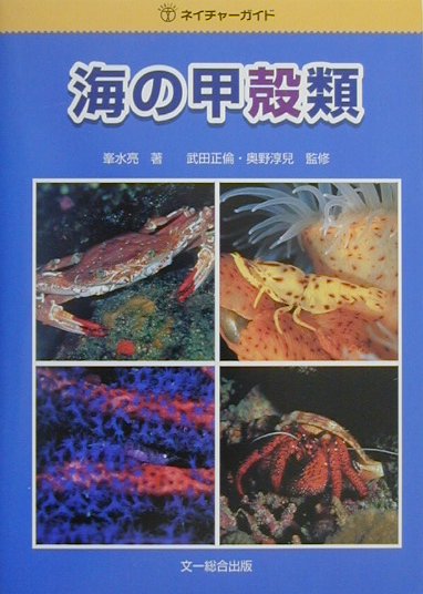 海の甲殻類　　（ネイチャーガイド）