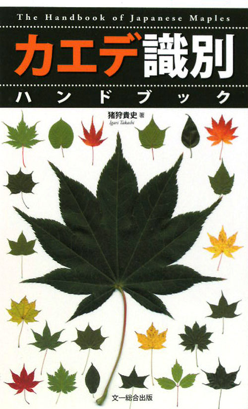 カエデ識別ハンドブック　