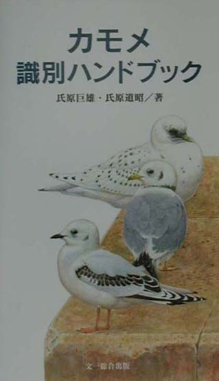 カモメ識別ハンドブック　