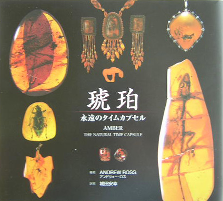 琥珀　永遠のタイムカプセル　