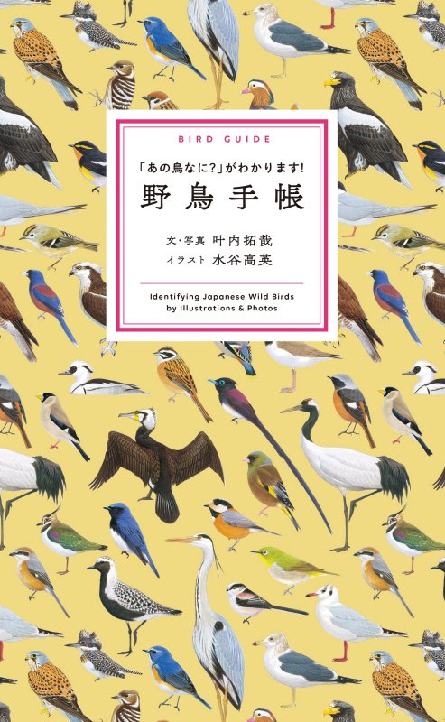 野鳥手帳　「あの鳥なに？」がわかります！　