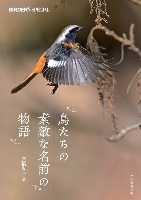鳥たちの素敵な名前の物語　　（ＢＩＲＤＥＲ　ＳＰＥＣＩＡＬ）
