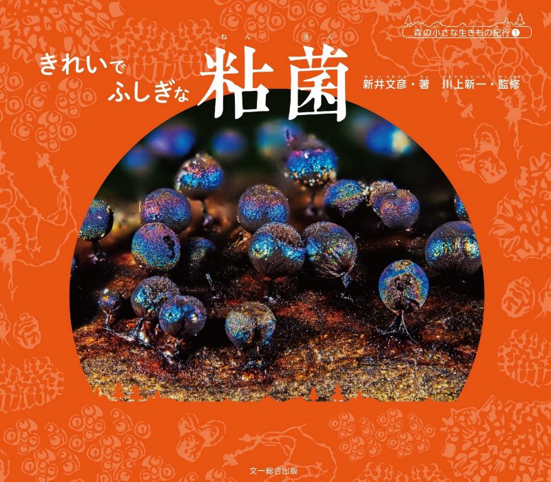 きれいでふしぎな粘菌　　（森の小さな生きもの紀行）