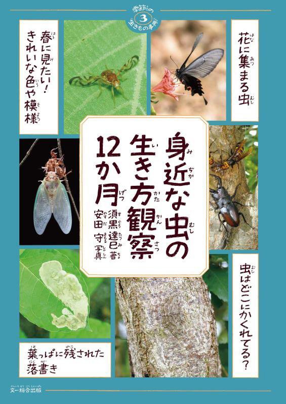 身近な虫の生き方観察１２か月　　（季節の生きもの事典）