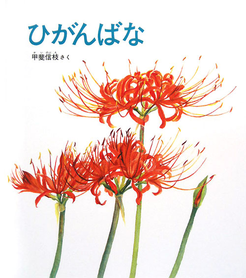 ひがんばな　　（かがくのとも絵本）