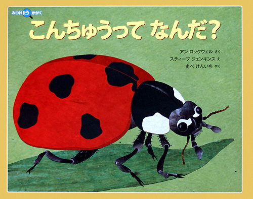 こんちゅうってなんだ？　　（みつけようかがく）