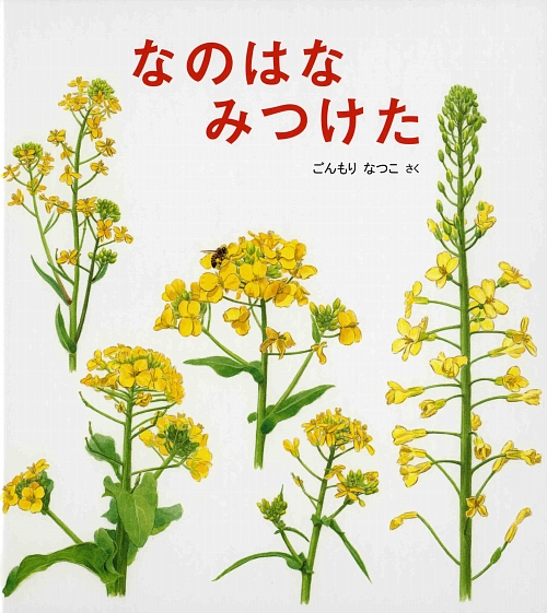 なのはなみつけた　　（かがくのとも傑作集　どきどきしぜん）