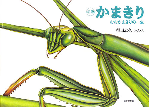 かまきり　新版　おおかまきりの一生　　（こんちゅうの一生シリーズ）