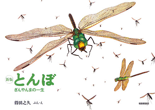 とんぼ　新版　ぎんやんまの一生　　（こんちゅうの一生シリーズ）