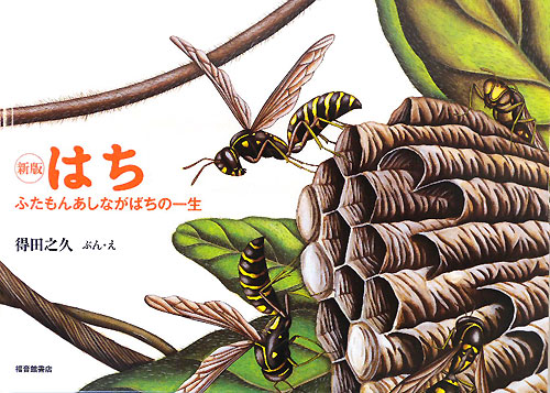 はち　新版　ふたもんあしながばちの一生　　（こんちゅうの一生シリーズ）