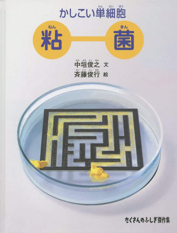 かしこい単細胞粘菌　　（たくさんのふしぎ傑作集）