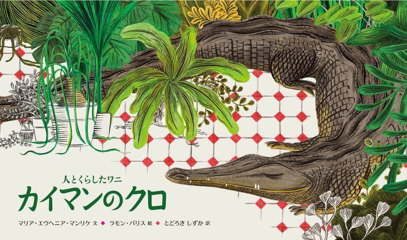 カイマンのクロ　人とくらしたワニ　　（世界傑作絵本シリーズ　ベネズエラの絵本）