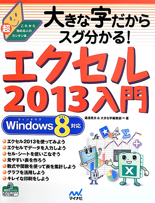 大きな字だからスグ分かる！エクセル２０１３入門　　（これから始める人の超カンタン本）