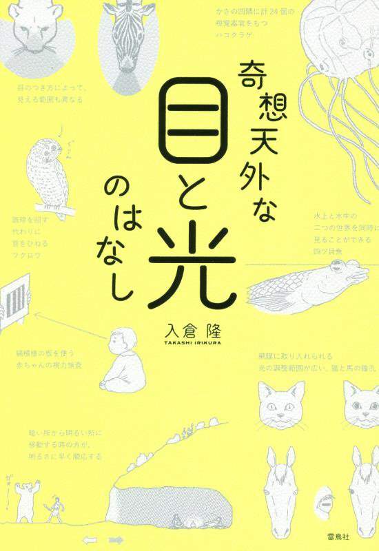 奇想天外な目と光のはなし　