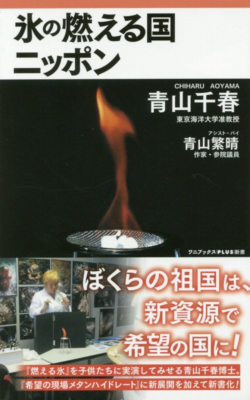 氷の燃える国ニッポン　　（ワニブックス｜ＰＬＵＳ｜新書）