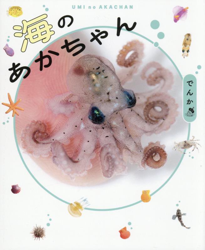 海のあかちゃん　