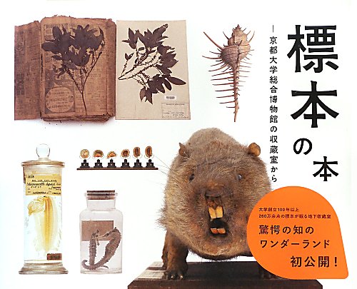 標本の本　京都大学総合博物館の収蔵室から　