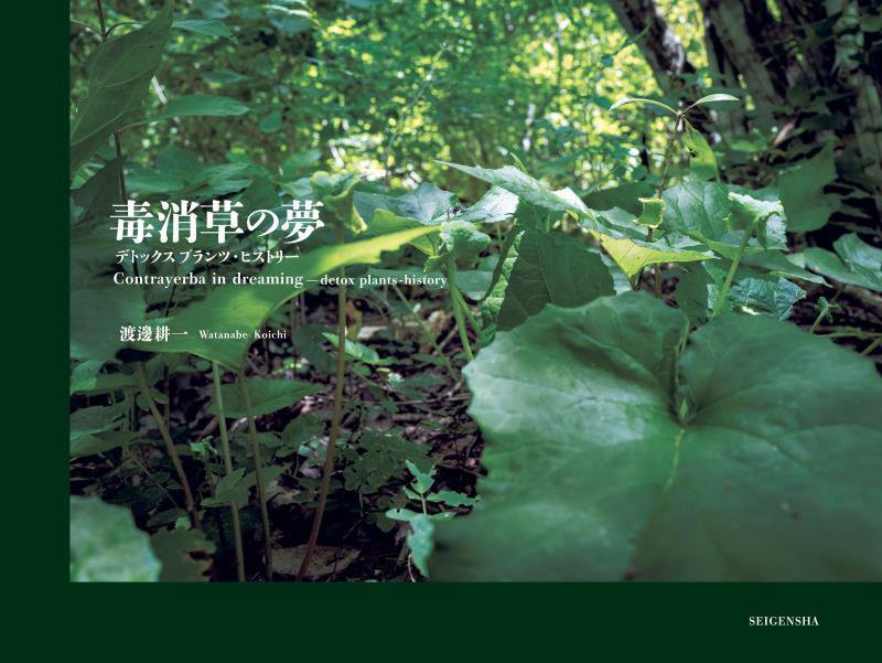 毒消草の夢　デトックスプランツ・ヒストリー　
