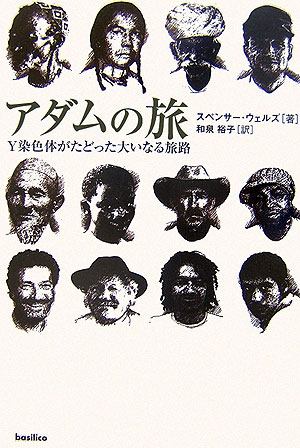 アダムの旅　Ｙ染色体がたどった大いなる旅路　