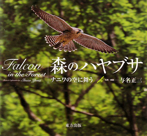 森のハヤブサ　ナニワの空に舞う　