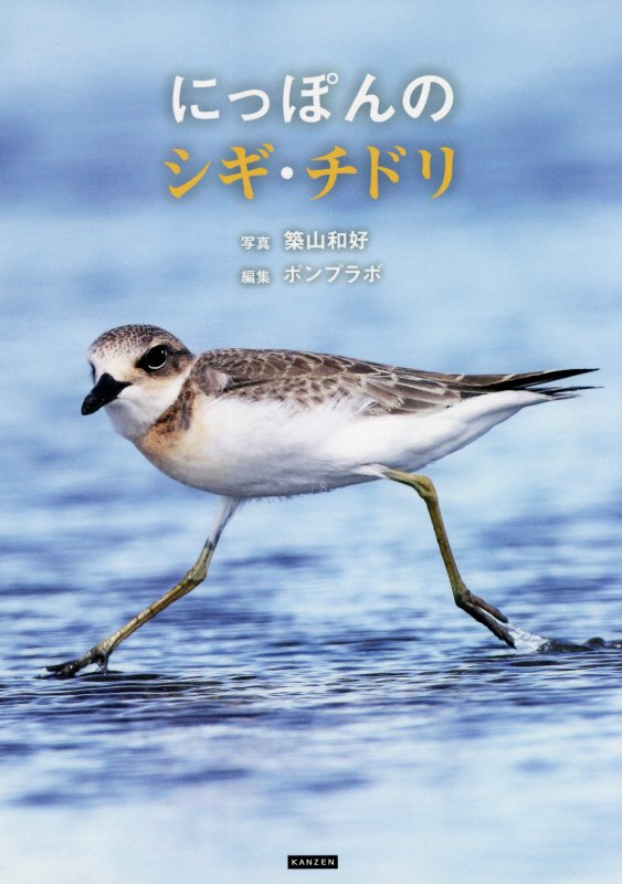 にっぽんのシギ・チドリ　