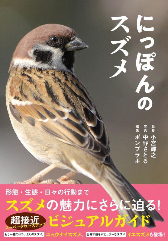 にっぽんのスズメ　