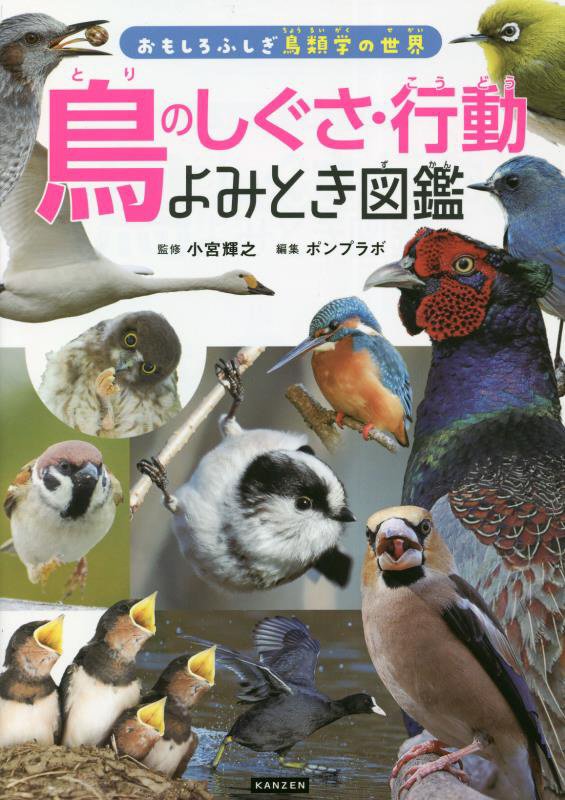 鳥のしぐさ・行動よみとき図鑑　　（おもしろふしぎ鳥類学の世界）
