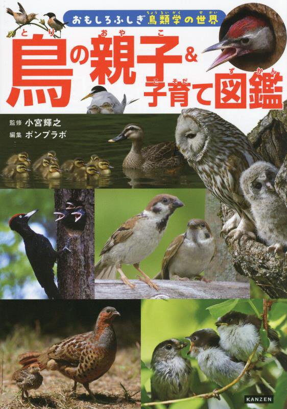 鳥の親子＆子育て図鑑　　（おもしろふしぎ鳥類学の世界）