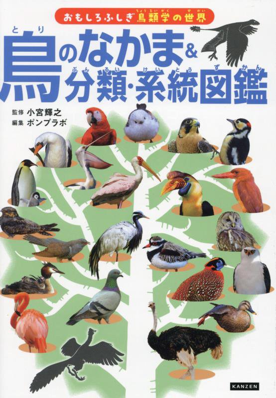 鳥のなかま＆分類・系統図鑑　　（おもしろふしぎ鳥類学の世界）