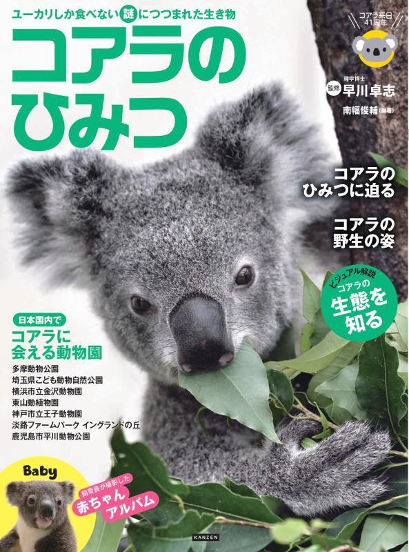 コアラのひみつ　