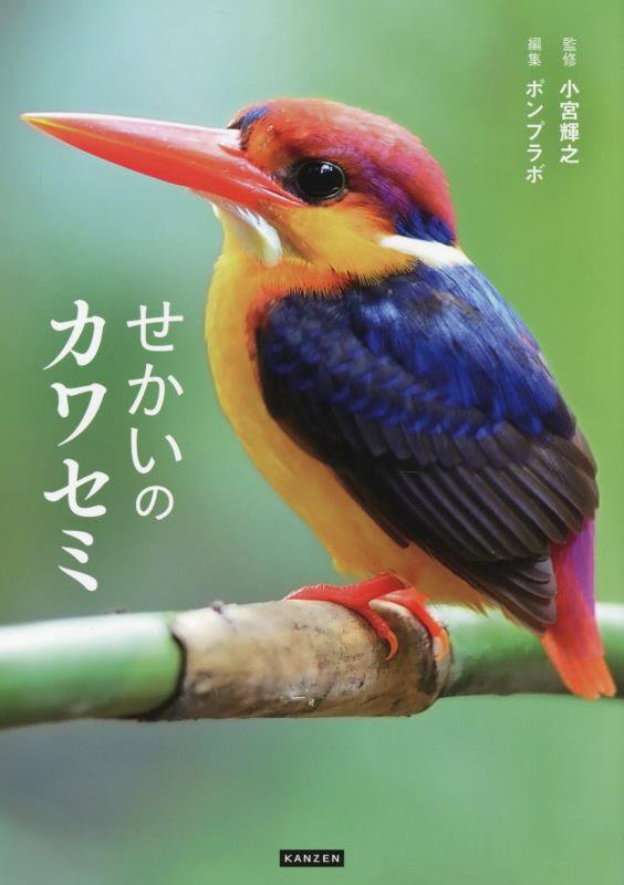 せかいのカワセミ　