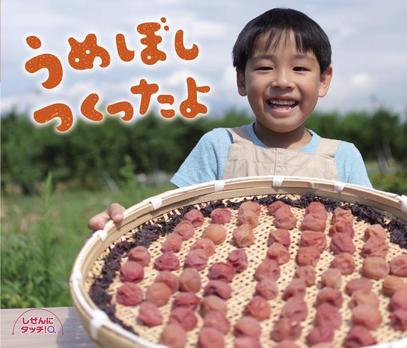 うめぼしつくったよ　　（しぜんにタッチ！）