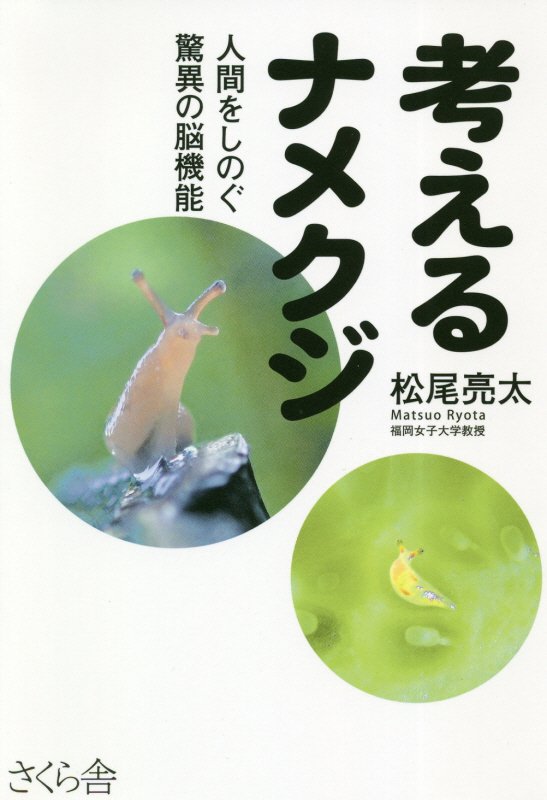 考えるナメクジ　人間をしのぐ驚異の脳機能　