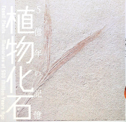 植物化石　５億年の記憶　　（ＩＮＡＸ　ＢＯＯＫＬＥＴ）