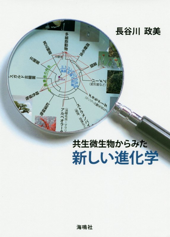共生微生物からみた新しい進化学　