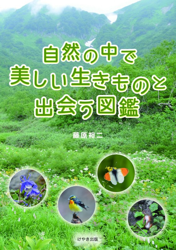 自然の中で美しい生きものと出会う図鑑　