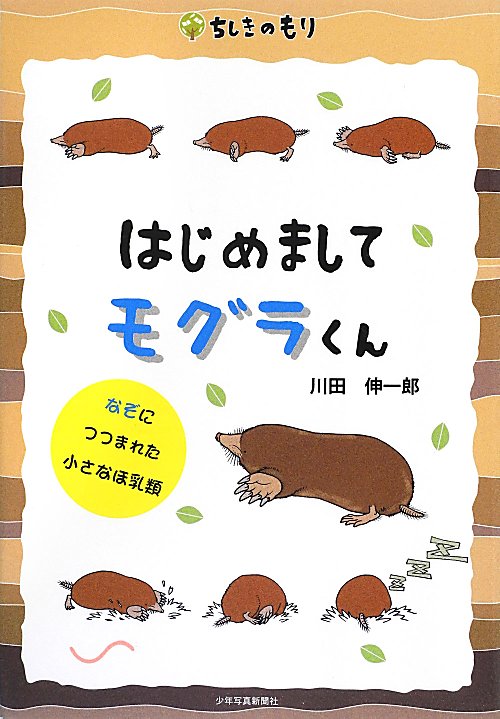 はじめましてモグラくん　なぞにつつまれた小さなほ乳類　　（ちしきのもり）