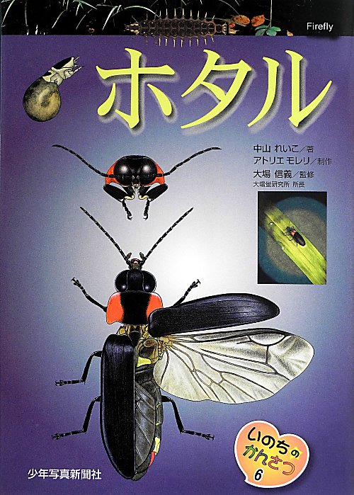 ホタル　　（いのちのかんさつ）