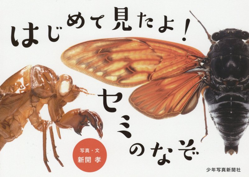 はじめて見たよ！セミのなぞ　