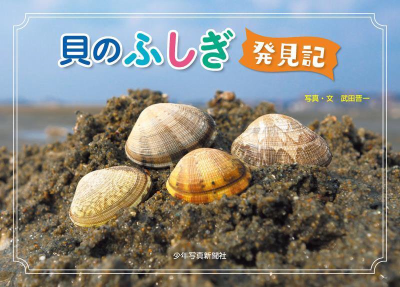 貝のふしぎ発見記　