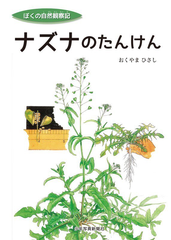 ナズナのたんけん　　（ぼくの自然観察記）
