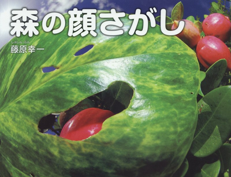 森の顔さがし　　（そうえん社写真のえほん）