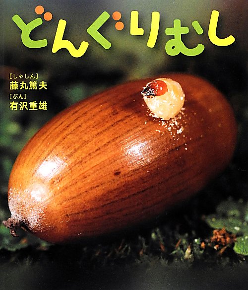 どんぐりむし　　（しぜんといっしょ）
