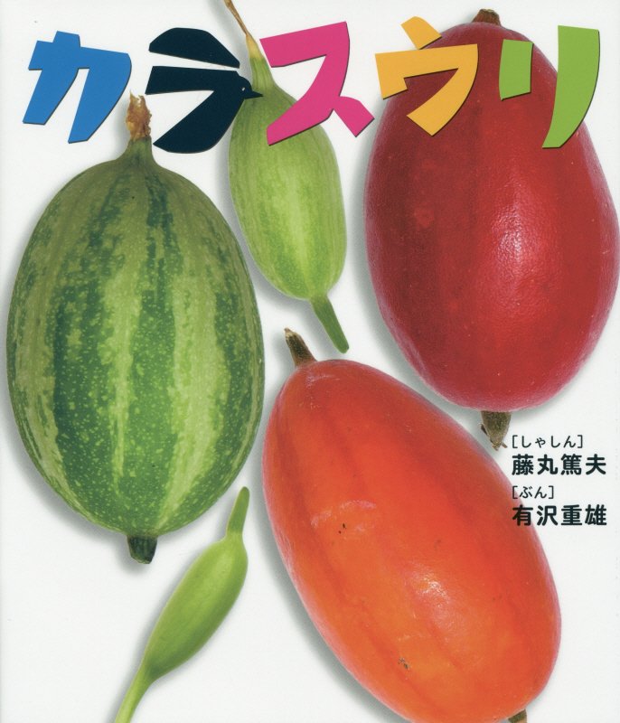 カラスウリ　　（しぜんといっしょ）