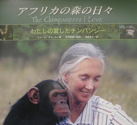 アフリカの森の日々　わたしの愛したチンパンジー　